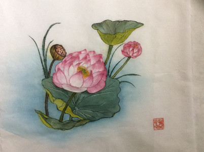Dorothy, Lotus, Chinese brush painting, Gongbi style.JPG